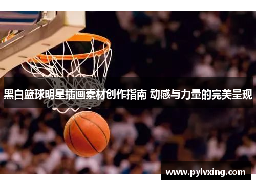 黑白篮球明星插画素材创作指南 动感与力量的完美呈现
