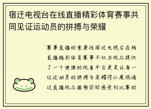 宿迁电视台在线直播精彩体育赛事共同见证运动员的拼搏与荣耀
